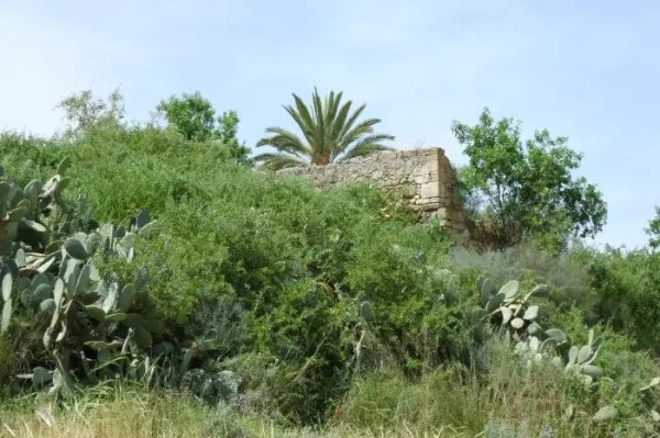  | موسوعة القرى الفلسطينية