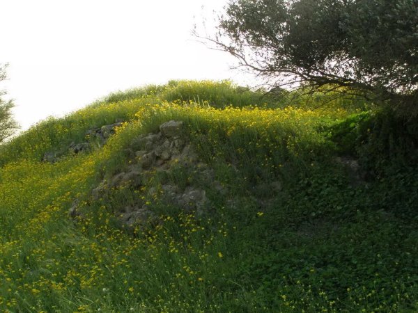  | موسوعة القرى الفلسطينية