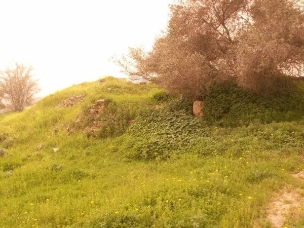  | موسوعة القرى الفلسطينية