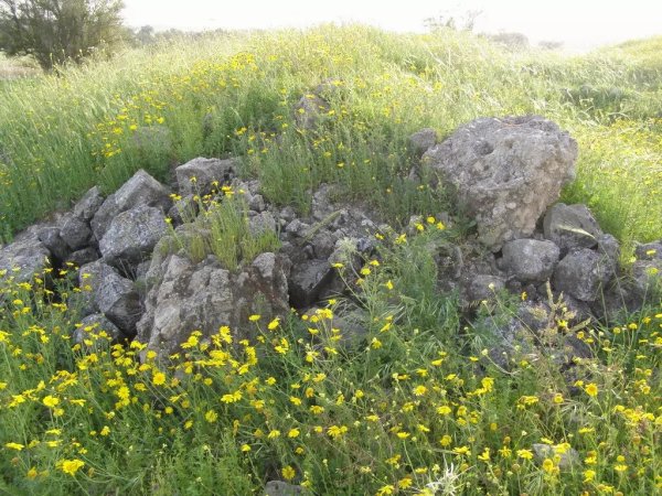  | موسوعة القرى الفلسطينية