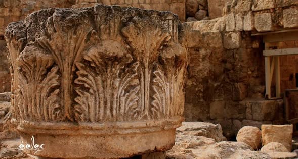 جبل الفري ديس / بيت لحم، بعدسة  عواطف روميه