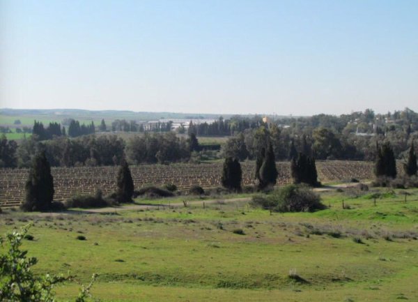  | موسوعة القرى الفلسطينية