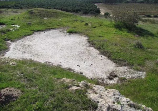  | موسوعة القرى الفلسطينية