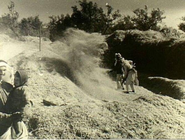  | موسوعة القرى الفلسطينية