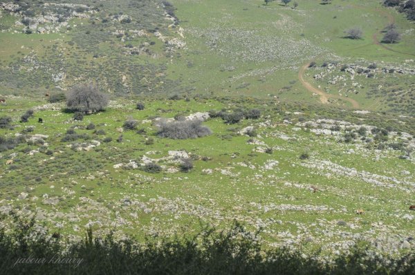  | موسوعة القرى الفلسطينية