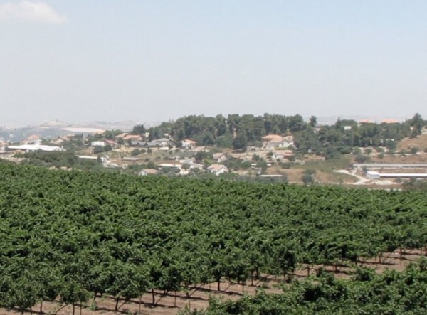  | موسوعة القرى الفلسطينية