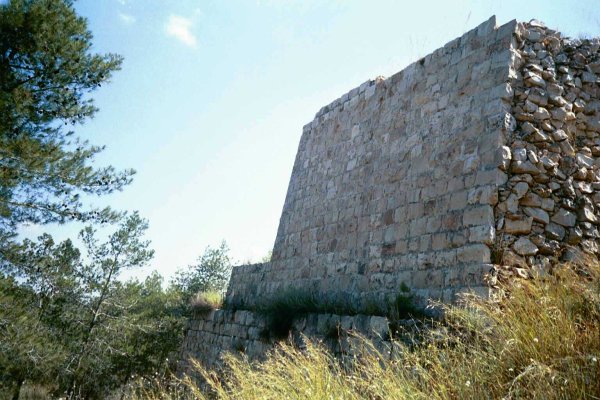 قرية المزيرعة