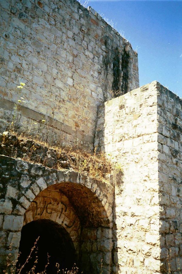 قرية المزيرعة