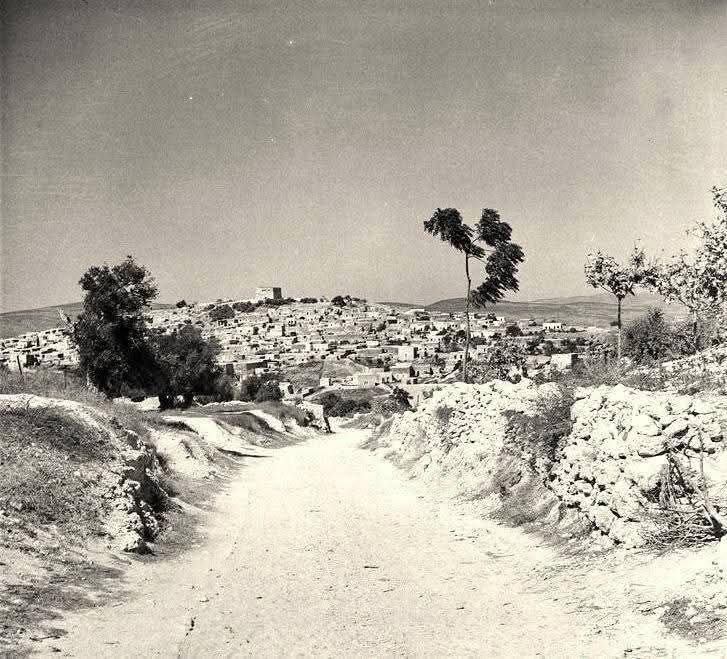 صورة نادرة على مشارف قرية صفورية تعود لعام 1931