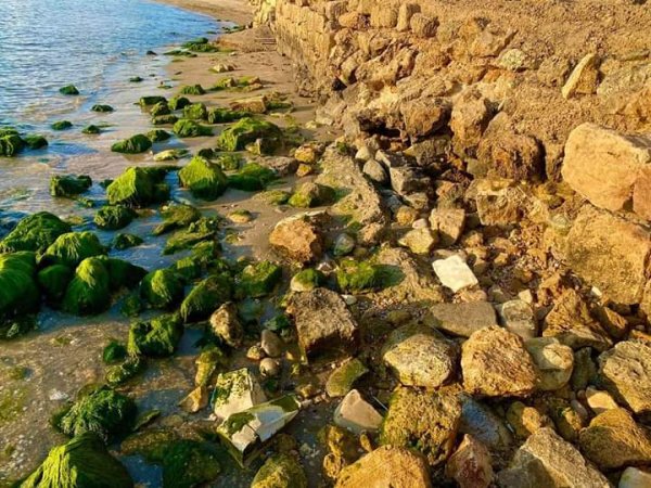 شاطئ الطنطورة