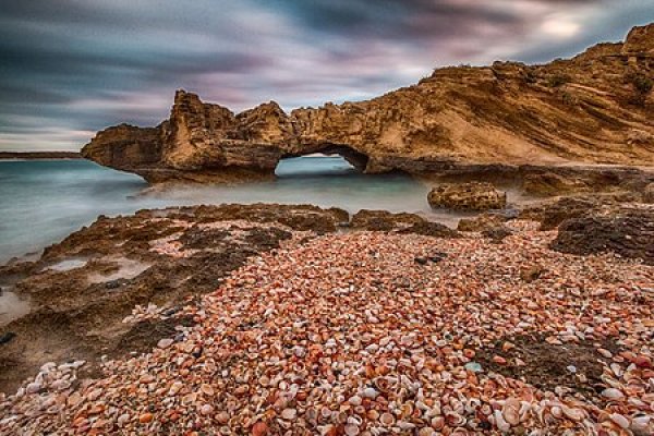 شاطئ الطنطورة