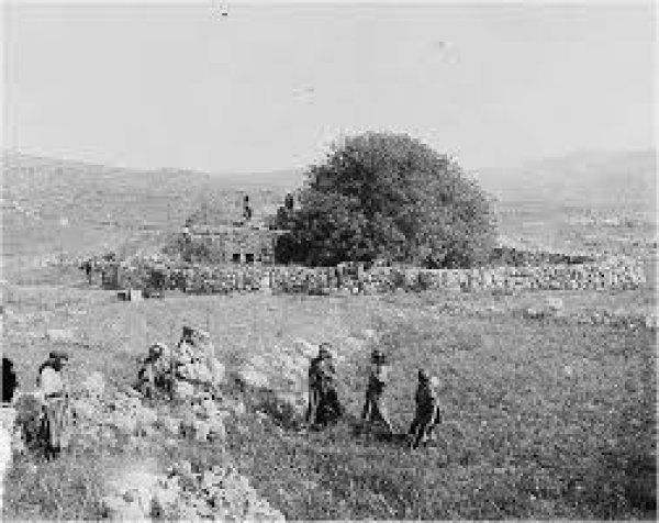 مكان مجزرة بيت دراس