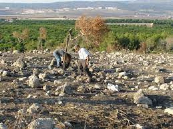  | موسوعة القرى الفلسطينية