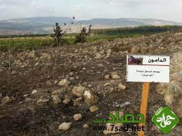  | موسوعة القرى الفلسطينية