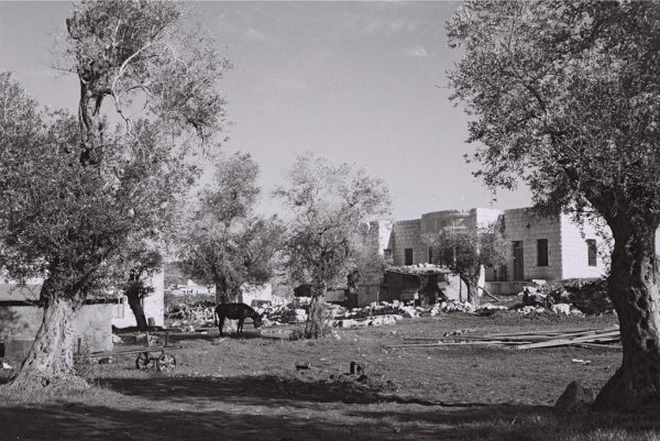 قرية السميرية قبل النكبة