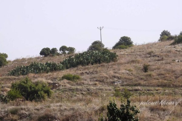  | موسوعة القرى الفلسطينية