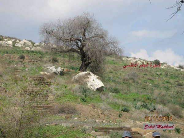  | موسوعة القرى الفلسطينية