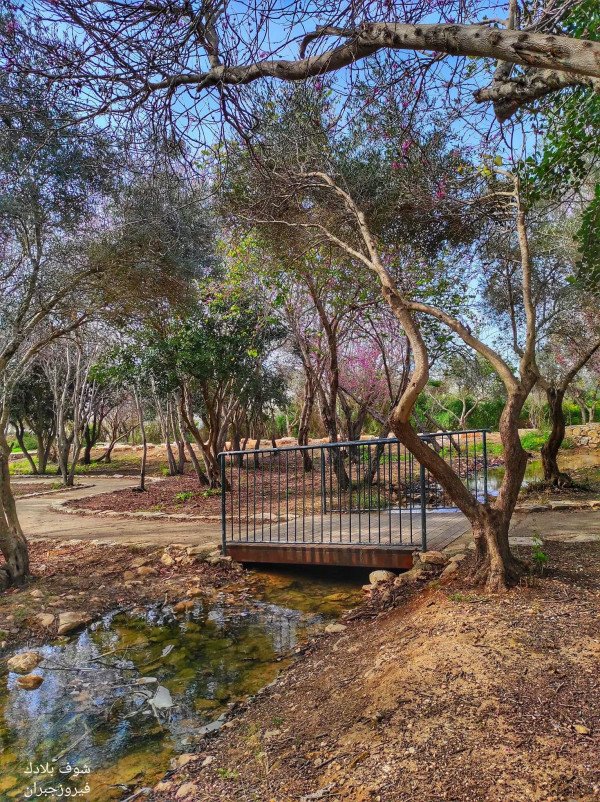  | موسوعة القرى الفلسطينية