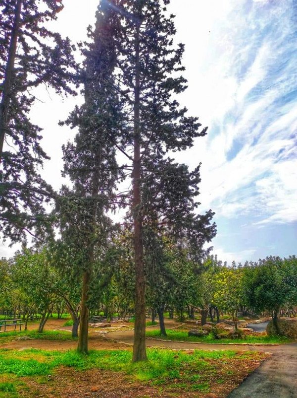  | موسوعة القرى الفلسطينية