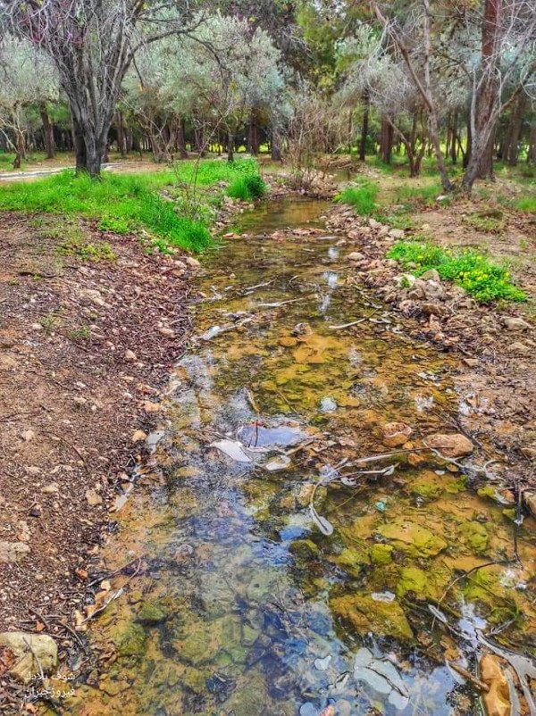 قرية الكابري