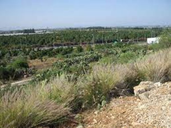 قرية الكابري