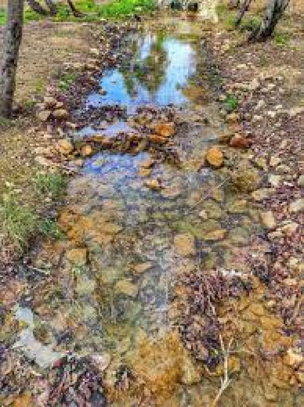  | موسوعة القرى الفلسطينية