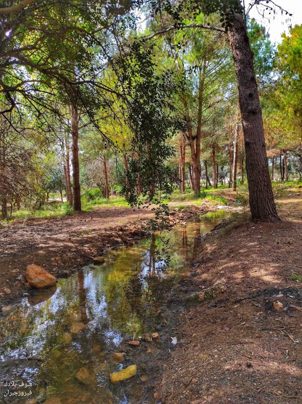  | موسوعة القرى الفلسطينية