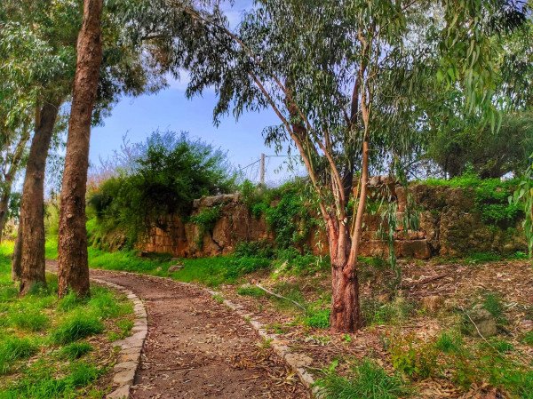 قرية الكابري