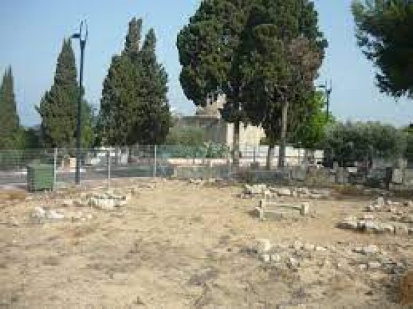 قرية المنشية