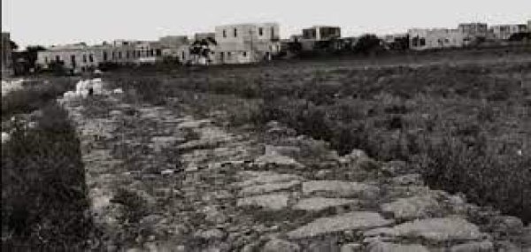 قرية المنشية