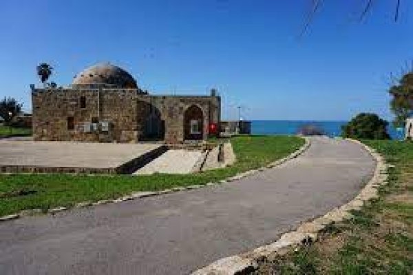 قرية المنشية