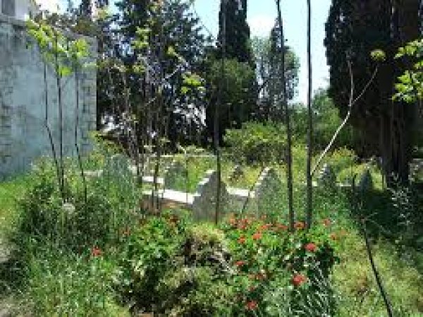 قرية المنشية