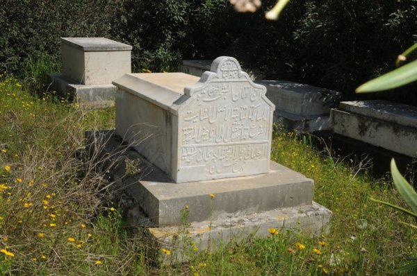 قرية المنشية