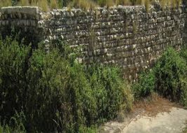  | موسوعة القرى الفلسطينية