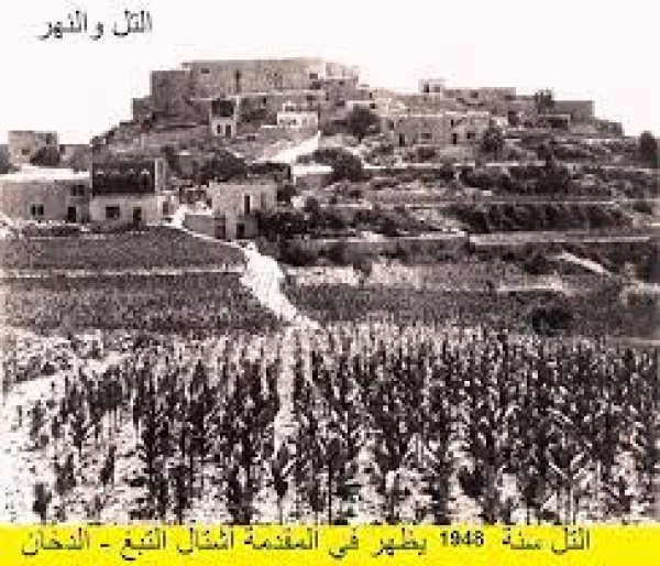  | موسوعة القرى الفلسطينية