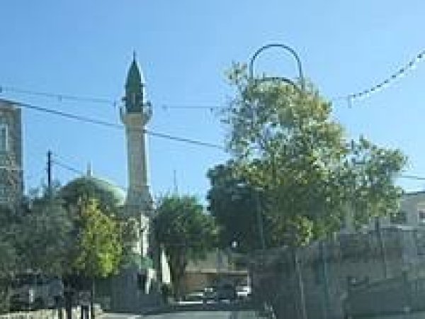 قرية ترشيحا