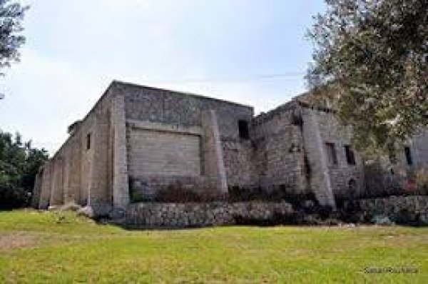 قرية ترشيحا