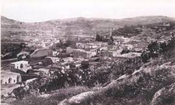 قرية ترشيحا