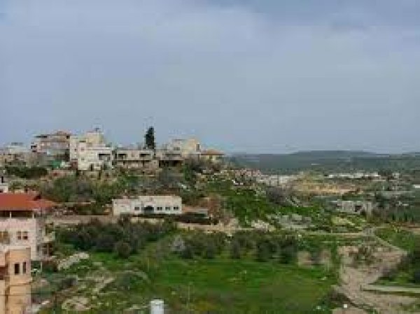 قرية ترشيحا