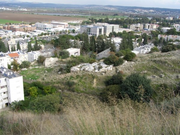 إطلالة عامة لأراضي بلد الشيخ التي تم تحويلها لمستعمرة تل حنان