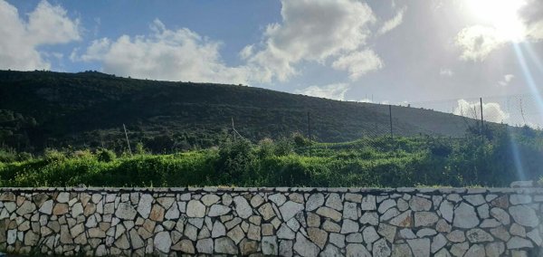 الطريق من حيفا إلى بلد الشيخ