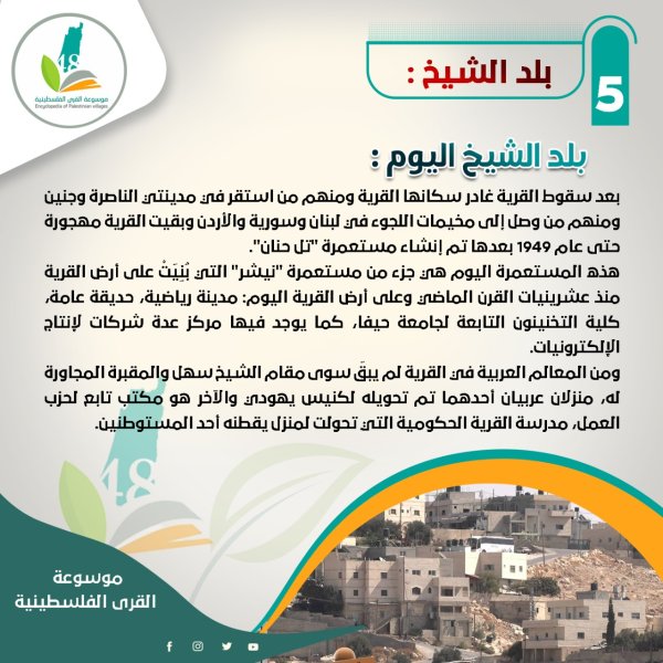 قرية بلد الشيخ