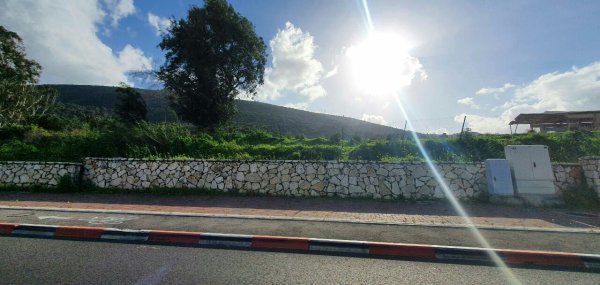 الطريق من حيفا إلى بلد الشيخ