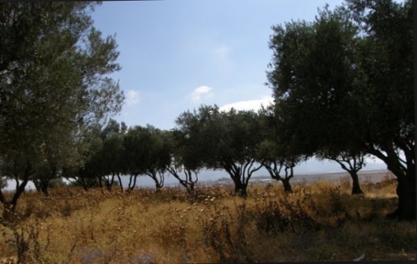 موقع قرية دلاته المهجرة