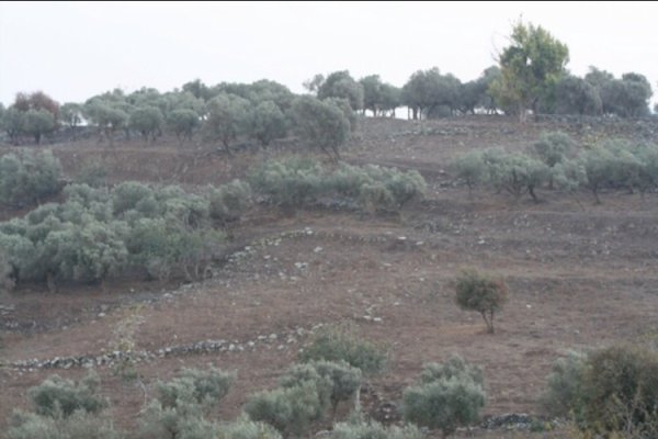 موقع قرية دلاته المهجرة