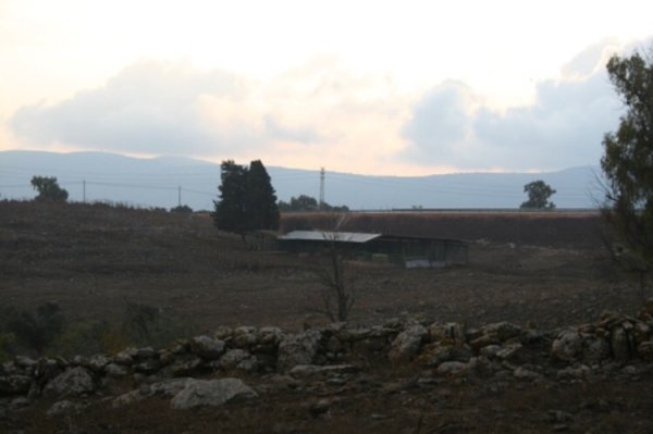 من اراضي دلاته ومن الغرب المستوطنه المقامه على اراضيها