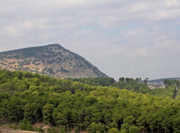 الأراضي شرقي القرية