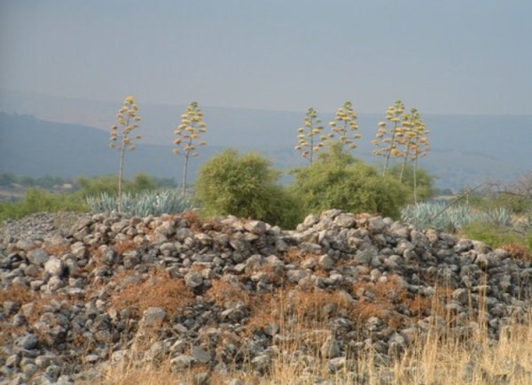 موقع القريه واثار ردم بيوت القريه