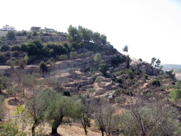 تلة من تلال قرية الولجة