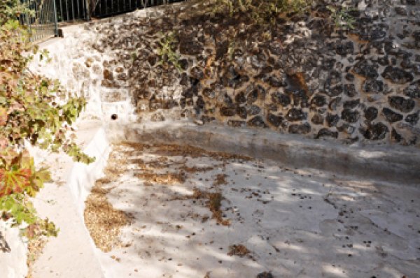 أحد الينابيع التي جفعت في قرية الولجة بفعل التوسع الاستيطاني الإسرائيلي المدمر